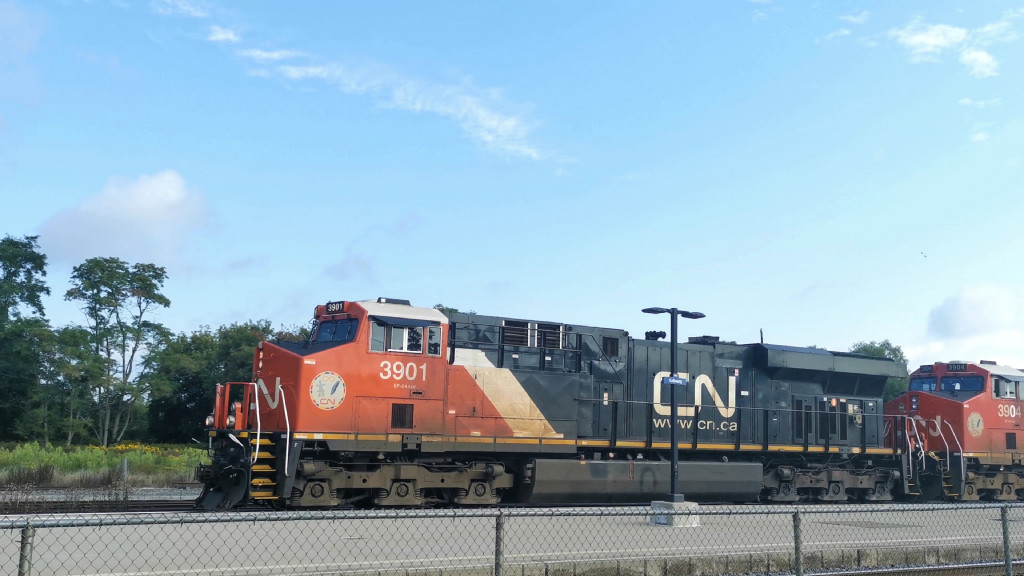 CN 3901